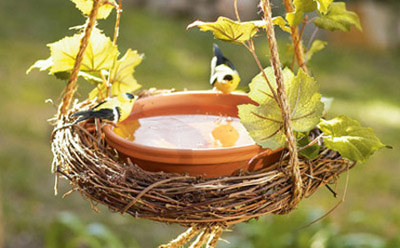 Baño para pajaros