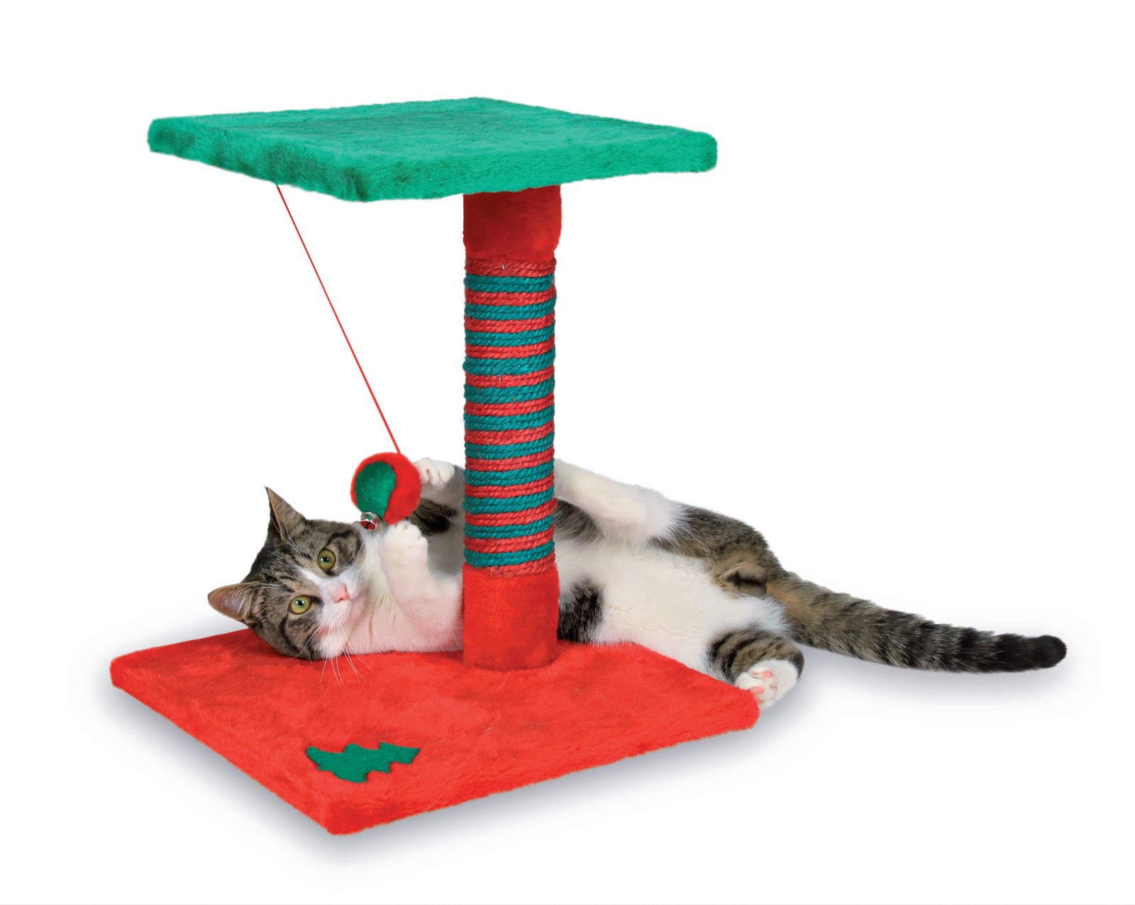 Gato Rascador