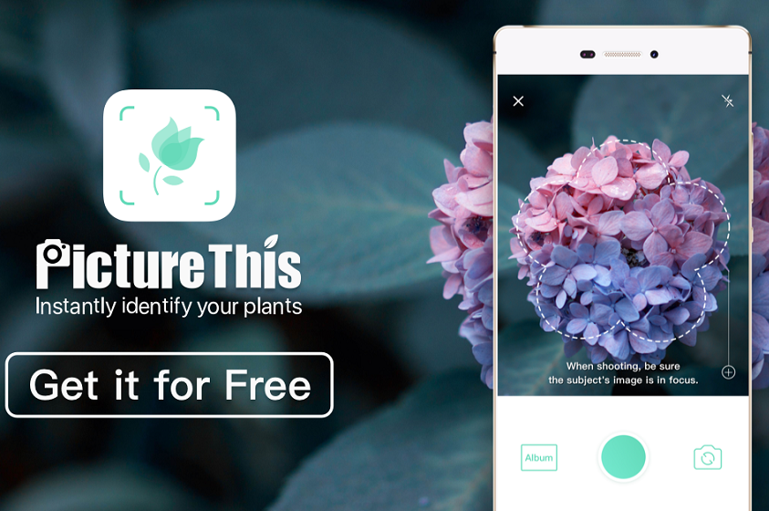 PictureThis identifica tus plantas y flores