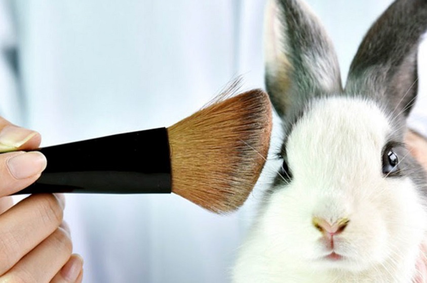 Uso de animales para productos de belleza