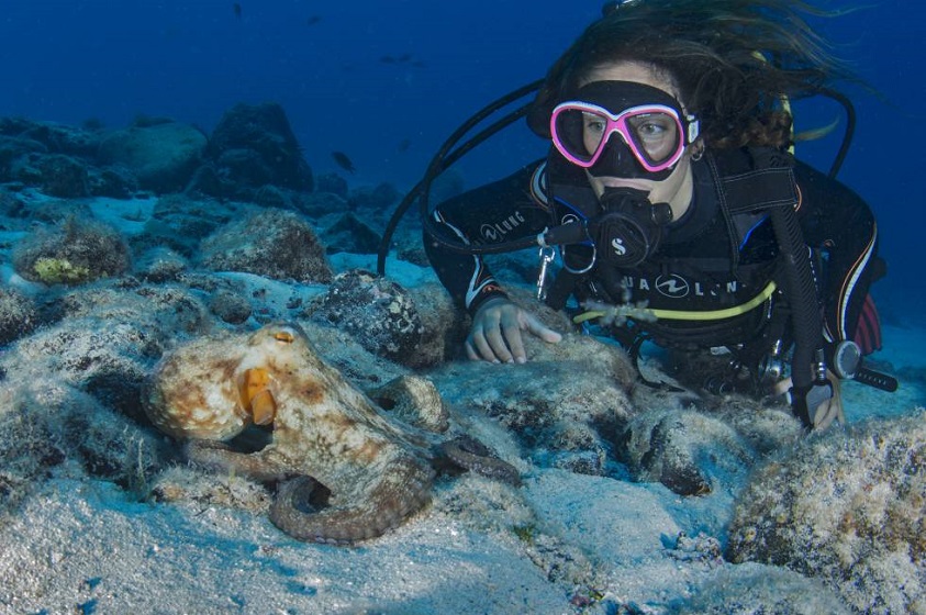 El buceo es una actividad recreativa especial