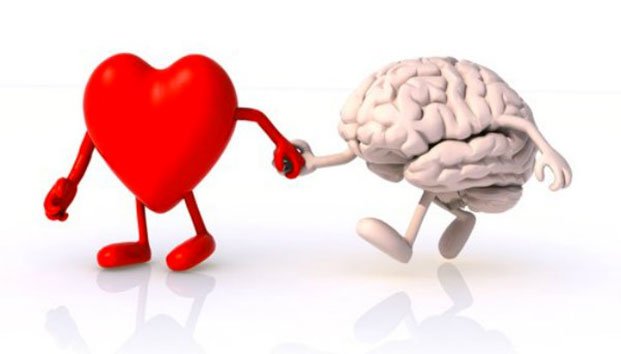 El amor ¿Cerebro o corazón?