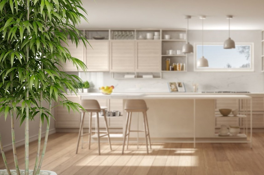 ¿Qué nos dice el Feng Shui sobre decoración?