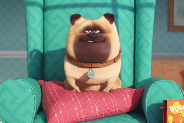 La vida secreta de tus mascotas