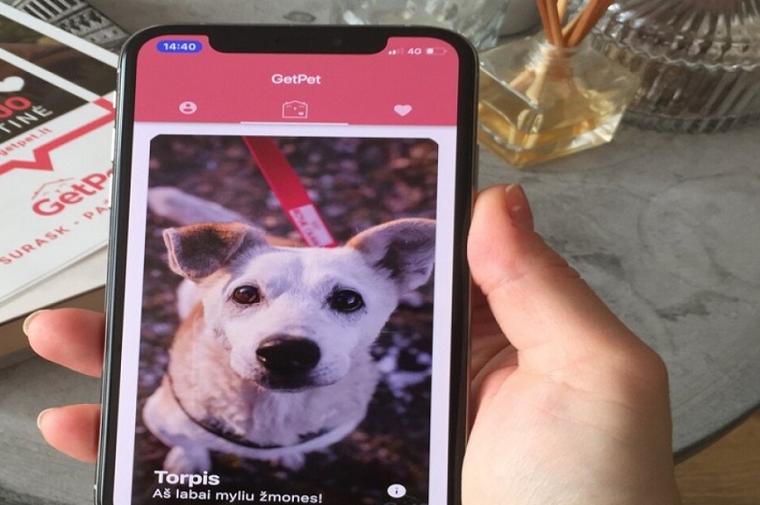 GetPet se inspira en Tinder para mascotas