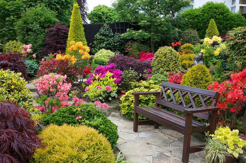 Plantas para tener en el jardín o la terraza