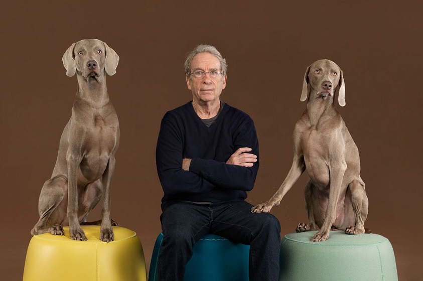 William Wegman y su arte con perros weimaraner