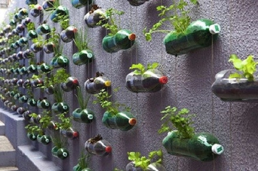 Ideas para practicar la Jardinería en casa