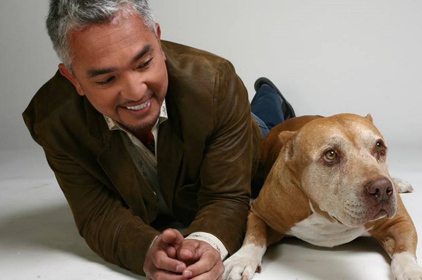 Los 5 consejos de César Millán para tener un perro equilibrado