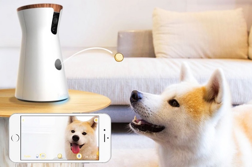 Furbo, la cámara especialmente diseñada para perros