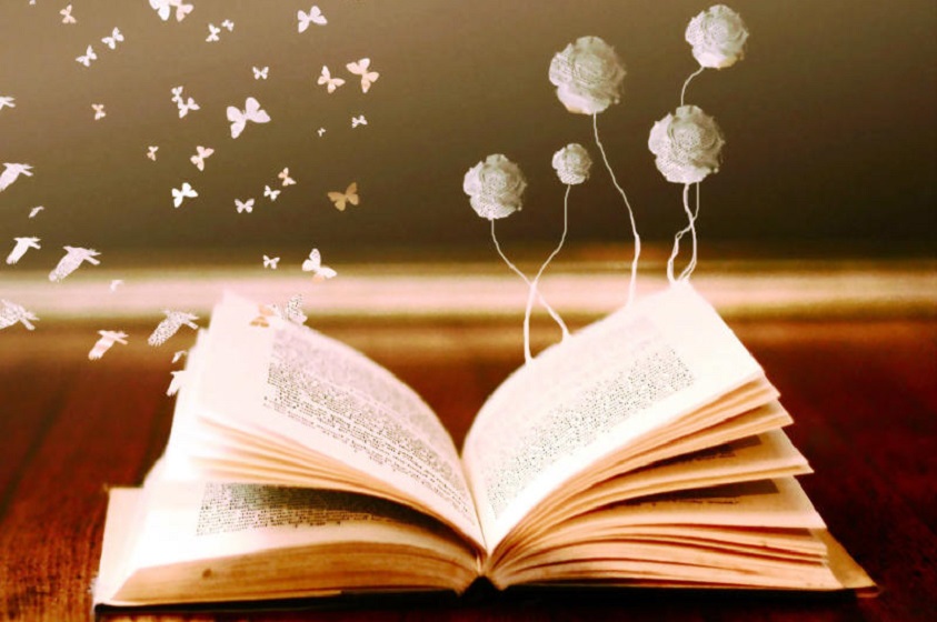 La Lectura y los diferentes temas para leer