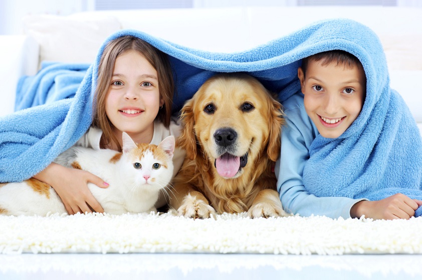 Buenas razones para tener una mascota en casa