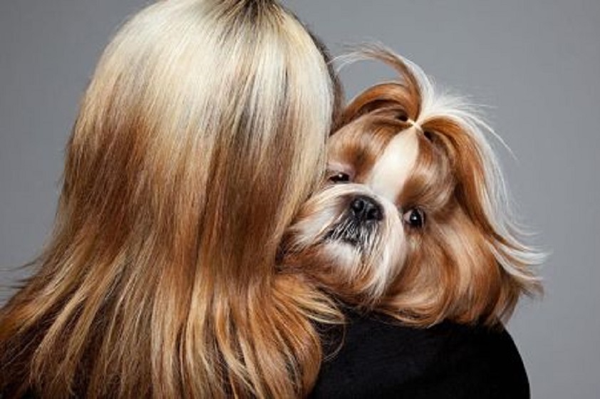 Mascotas que se parecen a sus dueños o ¿será al revés?