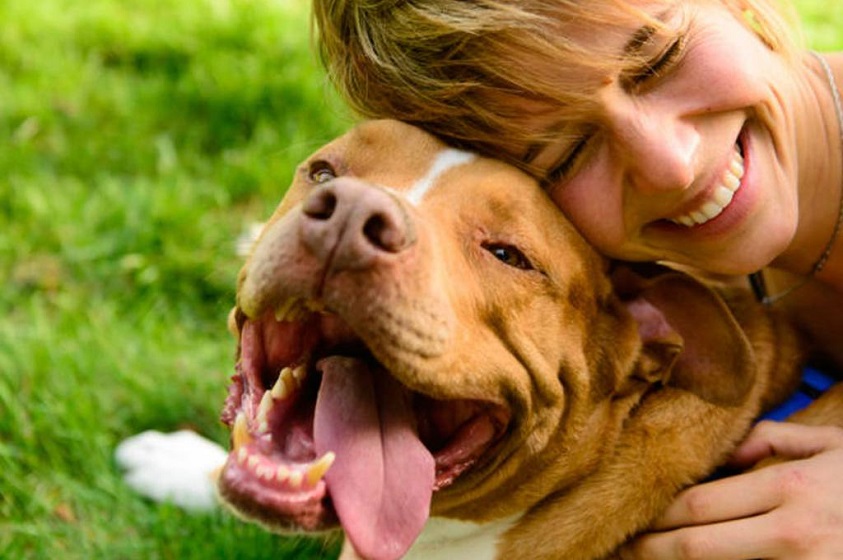 La misión espiritual de nuestros perros