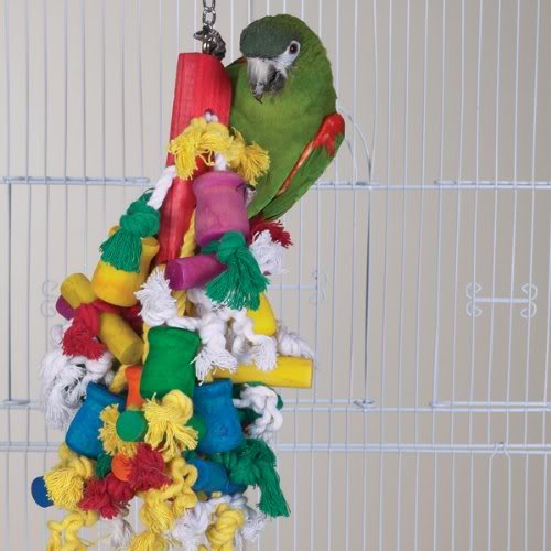 juguetes de loros