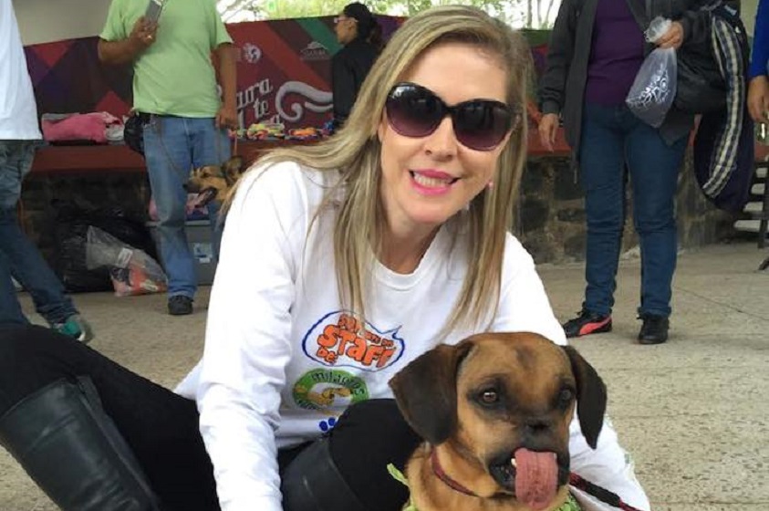 Milagros Caninos: Rescata y rehabilita perros