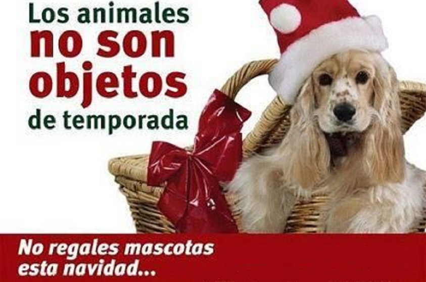 No regales mascotas esta Navidad