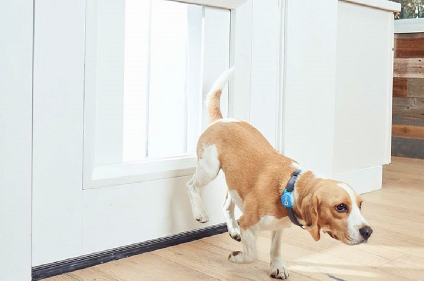 Puerta inteligente para que las mascotas salgan
