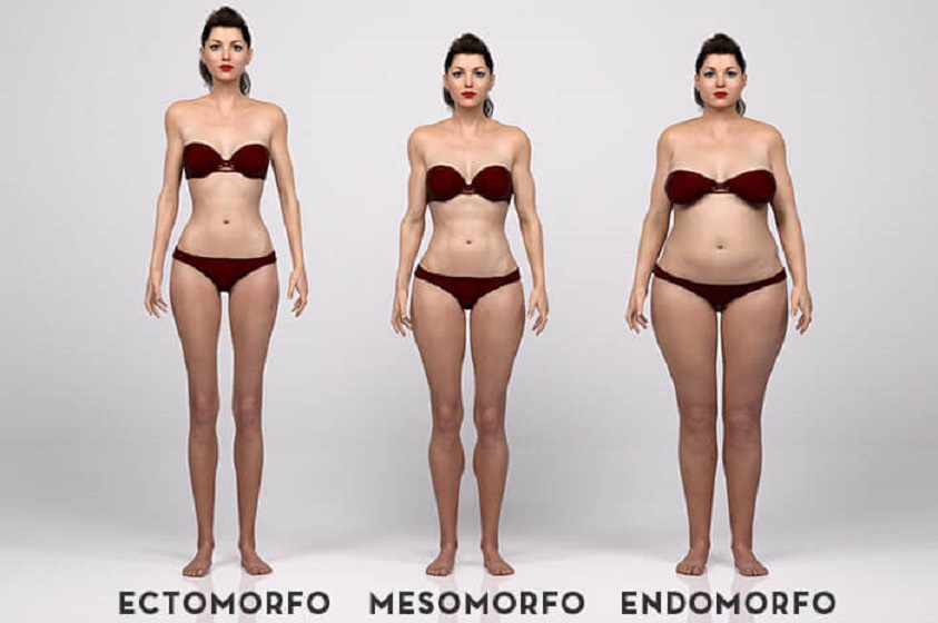 Tu tipo de cuerpo y lo que más le conviene