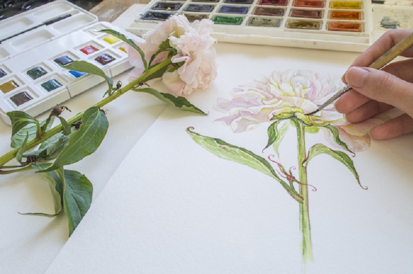 ¿Por dónde inicio para pintar con acuarelas?